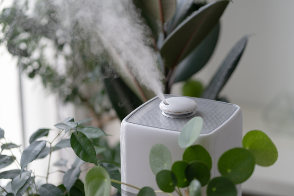 The Role of Humidity: Creating the Ideal Environment for Your Plants, How to add humidity to a room for plants, how much humidity do my plants need?, living house plants, bayview flowers, daisy ai, ai powered plant care